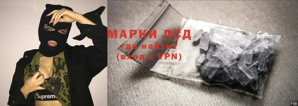 стаф Арсеньев