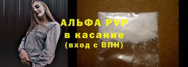 стаф Арсеньев