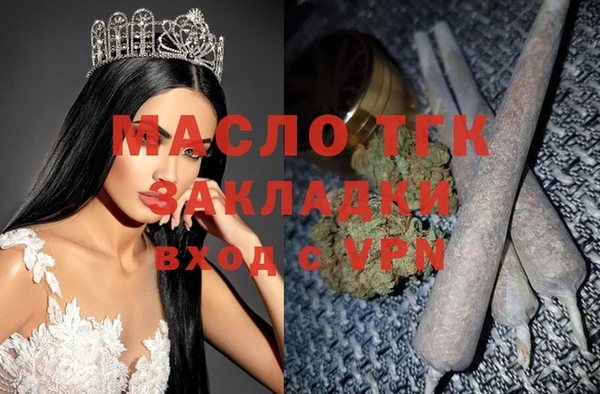 стаф Арсеньев