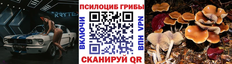 Галлюциногенные грибы мухоморы  Судак 